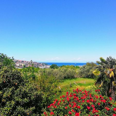 Peaceful View Apartment Koper Bagian luar foto