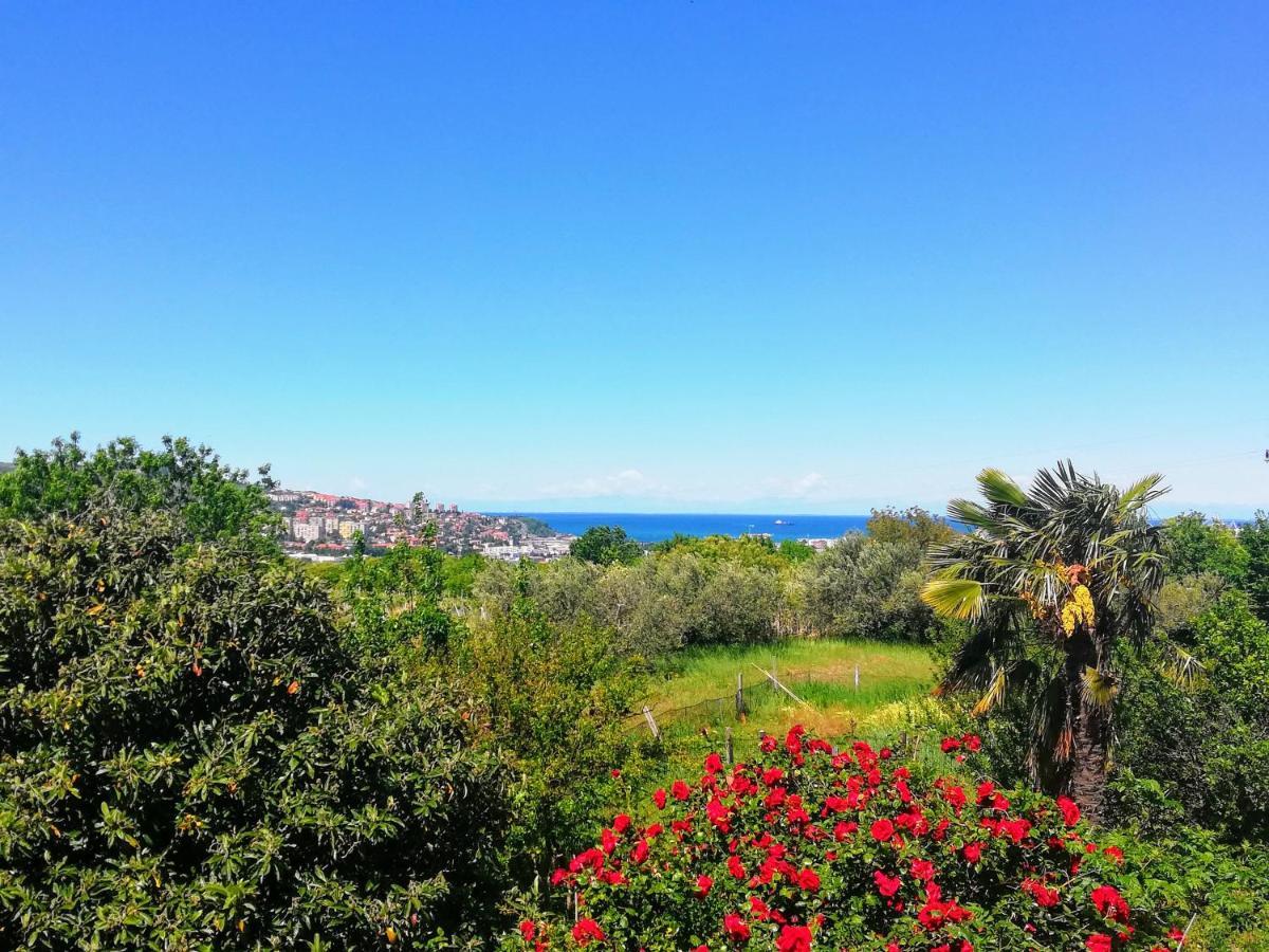 Peaceful View Apartment Koper Bagian luar foto
