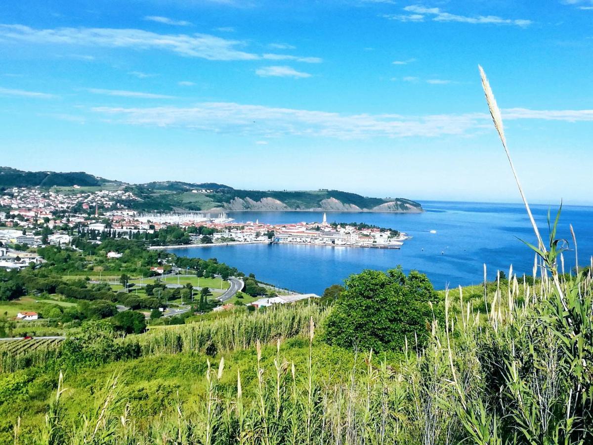 Peaceful View Apartment Koper Bagian luar foto