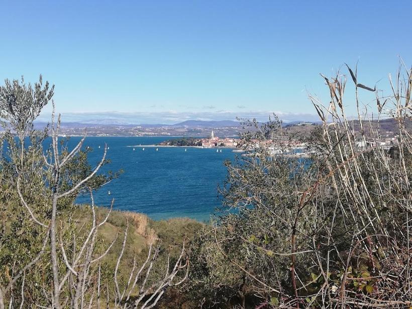 Peaceful View Apartment Koper Bagian luar foto