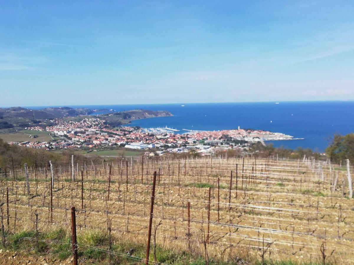 Peaceful View Apartment Koper Bagian luar foto