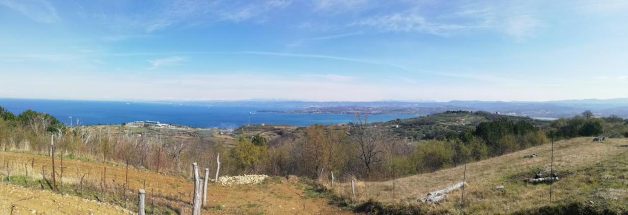 Peaceful View Apartment Koper Bagian luar foto