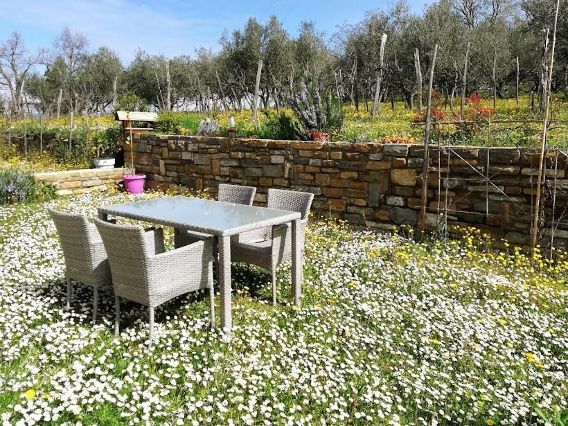 Peaceful View Apartment Koper Bagian luar foto