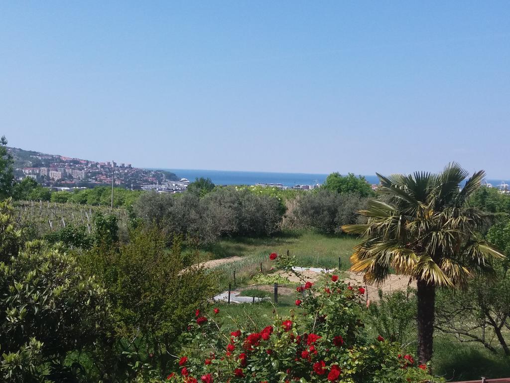 Peaceful View Apartment Koper Bagian luar foto